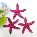 Mini décoration étoile de mer 10 pcs 8