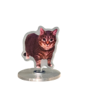 Mini decorazione per gatti 5 cm Base girevole 360° Gatto tigrato Oiiai per tavolo, mensola o cruscotto Pellicola protettiva 2