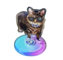 Mini decorazione per gatti 5 cm Gatto con occhiali e fiocco su base rotante 360° Decorazione da tavolo per mensola cruscotto 2