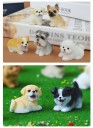 Mini figuur van een puppy Hars Decoratieve hond voor diorama microsfeer model landschap park tuin figuren decoratie 9