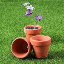 Mini keramiske blomsterpotter 12 stk. 2