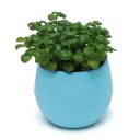 Mini kukkaruukku kulholla C1168 8