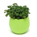 Mini kukkaruukku kulholla C1168 9