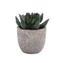 Mini kunstig aloe vera i potte 1 stk. falsk bonsaiplante simuleret træ borddekoration hjemmekontor havepynt 1