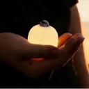 Mini lampada da campeggio LED a forma di uovo 65 x 55 mm 900 mAh USB-C Paralume in silicone Luce calda e rossa SOS Bianca 5