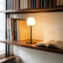Mini LED Camping Lamp in Egg Shape 65 x 55 mm 900 mAh USB-C Silicone Shade Warm and Red Light SOS White 2
