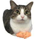 Mini luvas para gatos 8x4 cm Dedos de látex para gatos Brinquedo divertido em forma de mãos humanas Luvas seguras para gatos 1