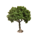 Mini Model Tree 10 cm Green Realistic Decorative Tree with Dense Crown Wire Trunk Mini Tree for Diorama 10