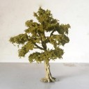 Mini Model Tree Realistic Decorative Tree for Diorama Model Landscape Wire Trunk Detailed Foliage 2