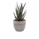 Mini planta de aloe artificial en maceta, pequeño árbol falso, bonsái decorativo, flor simulada, adorno de mesa, decoración para el hogar, la oficina 1