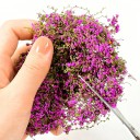 Miniatűr növénytömeg 3 g Modellcserjék és bokrok Zöld növényzet diorámákhoz Modell táj 2