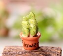 Miniatura decorativa di cactus 7