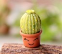 Miniatura decorativa di cactus 12