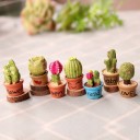 Miniatura decorativa di cactus 4