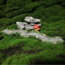 Miniatura di sentiero in pietra 7 x 4,5 cm Sentiero da giardino curvo in resina Decorazione per giardini in miniatura e modellismo 3