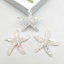 Miniaturas decorativas estrellas de mar 10 uds 1