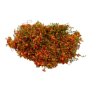 Miniature Bunch of Plants 3 g Model Foliage and Bushes Greenery for Diorama Model Landscape 9