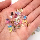 Miniature Butterflies 8 mm Set of 10 Colourful Resin Decorations for Diorama Miniature Garden Modelling and Creative Crafting 5