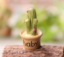 Miniature décorative de cactus 6