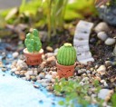 Miniature décorative de cactus 3
