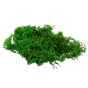 Miniature plantebundt 3 g Modelbush og buske Grøn vegetation til diorama Modellandskab 7