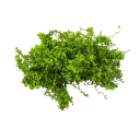 Miniature plantebundt 3 g Modelbush og buske Grøn vegetation til diorama Modellandskab 8