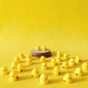 Miniatures décoratives de poussins 24 pièces 1