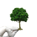 Miniaturmodellbaum 10 cm grün Realistischer dekorativer Baum mit dichtem Kronen Drahtstamm Mini Baum für Dioramen 12