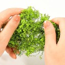 Miniatuurplanten bosje 3 g Modelmatige struiken en heesters Groene begroeiing voor diorama Modellandschap 6