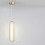 Minimalistický LED závěsný lustr 16 W Moderní oválné osvětlení se závěsným drátem 2 m Kovový nerezový lustr, teplá bílá 9 x 40 cm 3