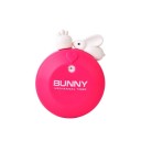 Minutero meccanico con coniglio 5