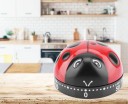 Minuteur mécanique en forme de coccinelle 4