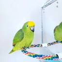 Miroir suspendu avec perchoir pour oiseaux 4