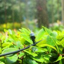 Misting Irrigation System 3