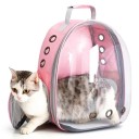 Mochila transparente e respirável para gatos Mochila de viagem para transporte de gatos Transportadora de plástico para gatos 40 x 16 x 34 cm 3