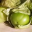 Mochyňa dužnoplodá Tomatillo zelená semienka ľahké pšstování vnútri, vonku na balkón na záhradu semená zelenej paradajky 10 ks 2