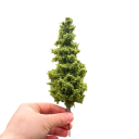 Model fenyőfa 21 cm Műanyag miniatura tűlevelű fa diorámákhoz, modellezett tájhoz, erdei tájhoz 3