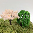 Model Tree 17