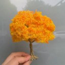 Modelbouwboom Miniatuur decoratieve boom voor diorama model landschap spoorweg en architectonische maquettes 3