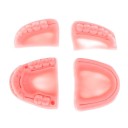 Modèle de dentition pour l'entraînement à la couture de points 4 pcs 1