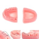 Modèle de dentition pour l'entraînement à la couture de points 4 pcs 2