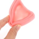 Modèle de mâchoire pour l'entraînement à la couture de points 2 pcs 2