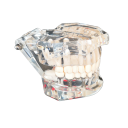 Modèle transparent de la dentition humaine 4