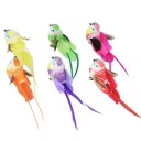 Modelo de pájaro decorativo 8
