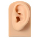Modelo de silicona de la oreja izquierda 7,8 × 4,9 × 4 cm Modelo de entrenamiento blando para la práctica de piercing y tatuaje 5