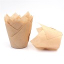 Moldes de papel para cupcakes 50 uds. 11