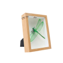 Moldura de madeira profunda 15 x 20 cm Com vidro 3 cm de profundidade interna Moldura de mesa para fotografias e decorações 3D 2