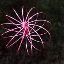 Molla antistress magica 3