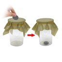 Monete attraverso la gomma 2