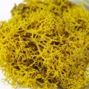 Moss artificiale colorato 200 g Erba decorativa Finti piante verdi Mini paesaggio DIY artigianato Decorazione da giardino domestico 8